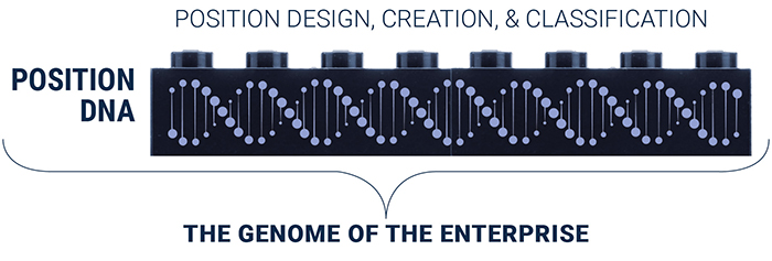 The Genome of the Enterprise